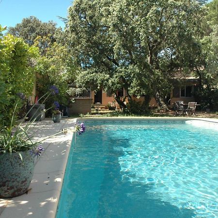 La Vigne Et L'Olivier Appartement Villeneuve-lès-Avignon Buitenkant foto