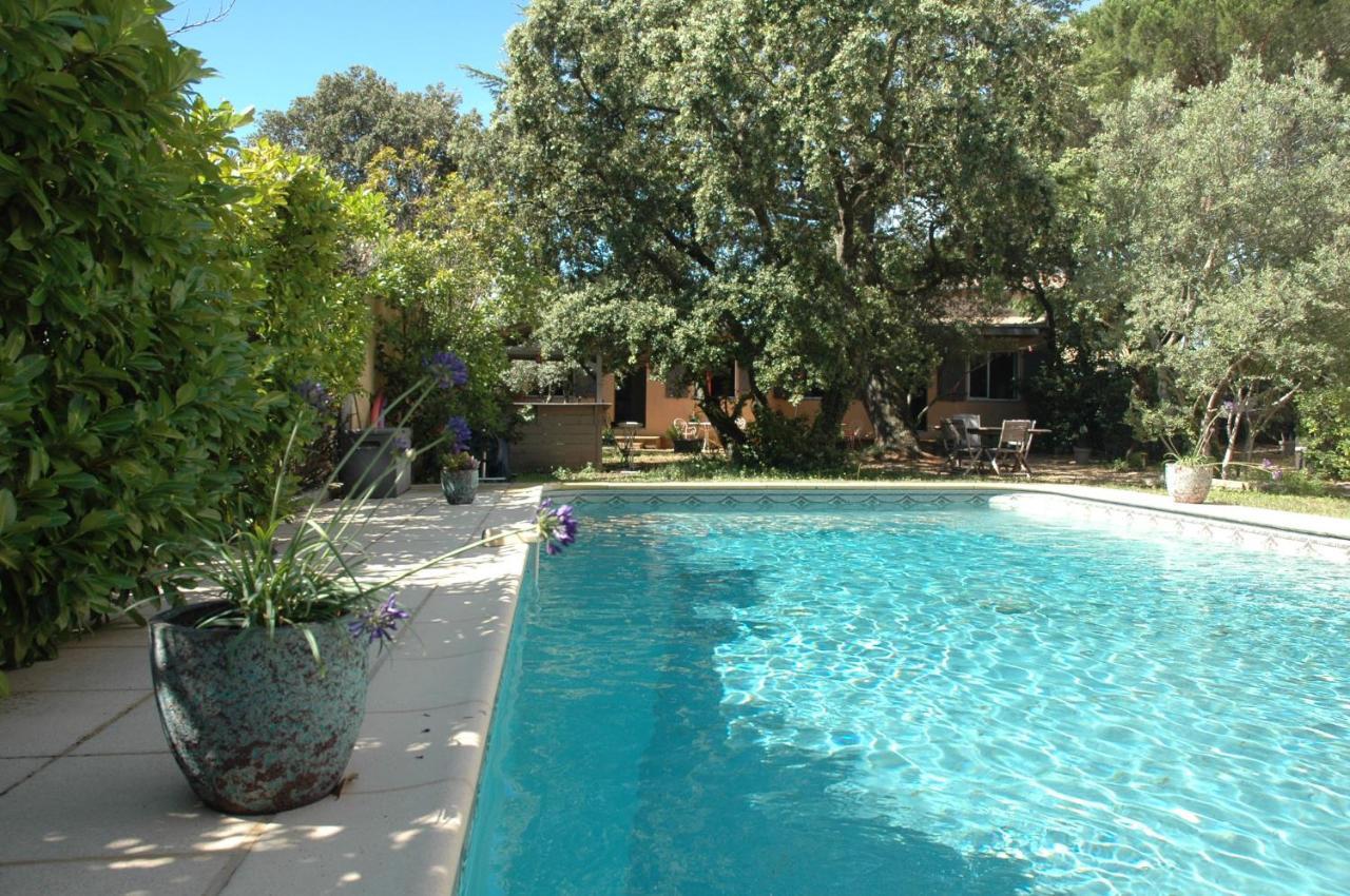 La Vigne Et L'Olivier Appartement Villeneuve-lès-Avignon Buitenkant foto