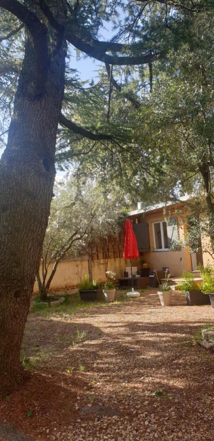 La Vigne Et L'Olivier Appartement Villeneuve-lès-Avignon Buitenkant foto