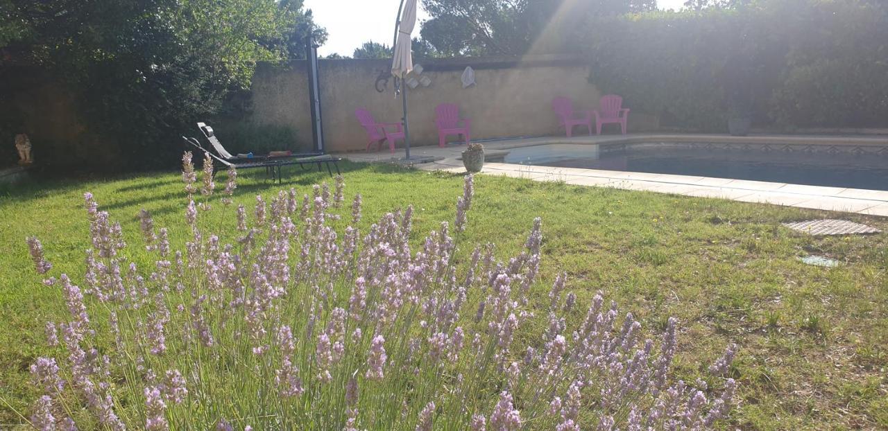 La Vigne Et L'Olivier Appartement Villeneuve-lès-Avignon Buitenkant foto